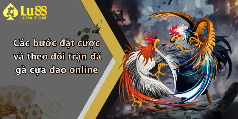 Các bước đặt cược và theo dõi trận đá gà cựa dao online
