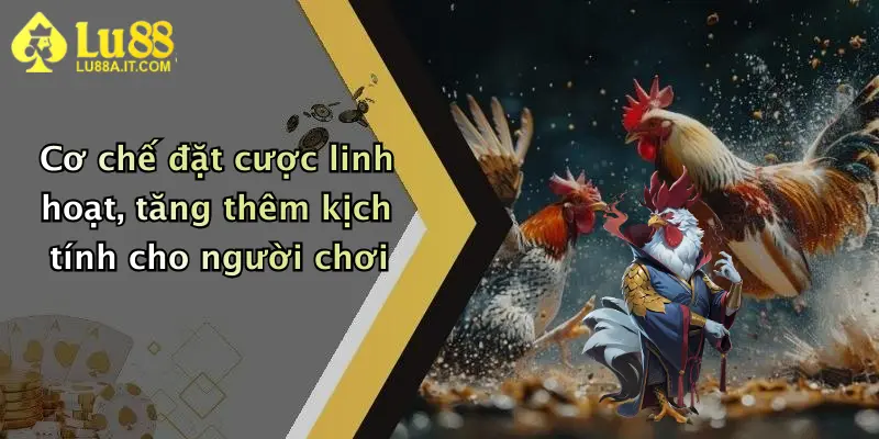 Cơ chế đặt cược linh hoạt, tăng thêm kịch tính cho người chơi
