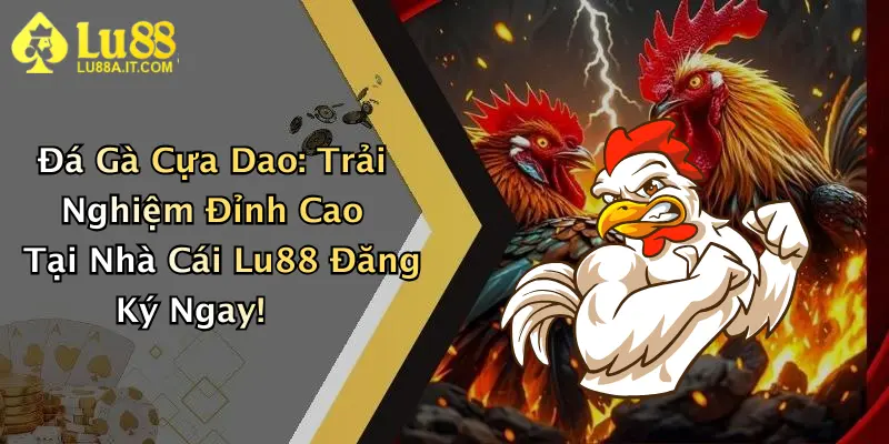 Đá Gà Cựa Dao: Trải Nghiệm Đỉnh Cao Tại Nhà Cái Lu88 Đăng Ký Ngay!