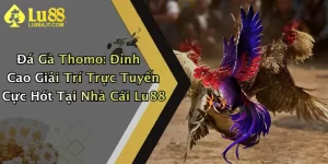 Đá Gà Thomo: Đỉnh Cao Giải Trí Trực Tuyến Cực Hót Tại Nhà Cái Lu88