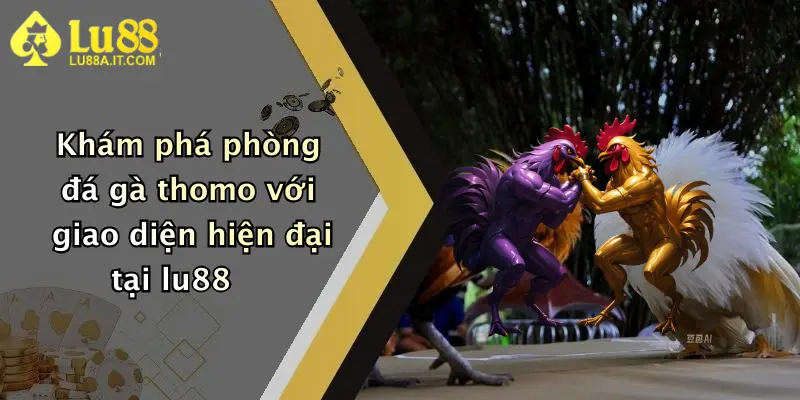 Khám phá phòng đá gà thomo với giao diện hiện đại tại lu88