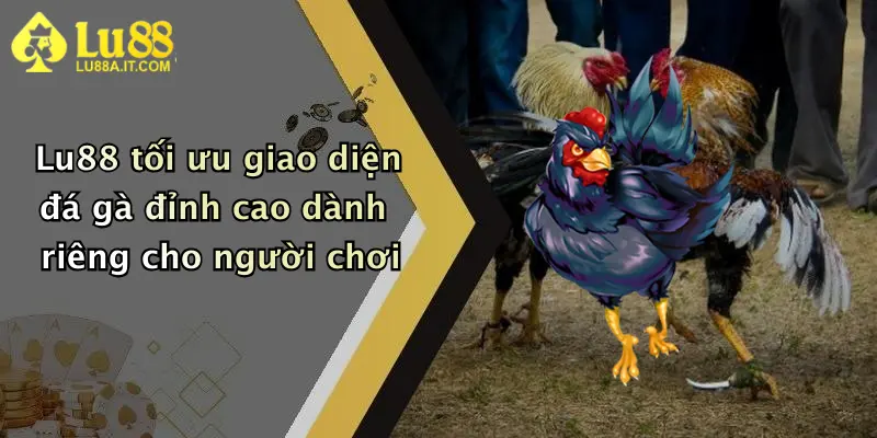 Lu88 tối ưu giao diện đá gà đỉnh cao dành riêng cho người chơi