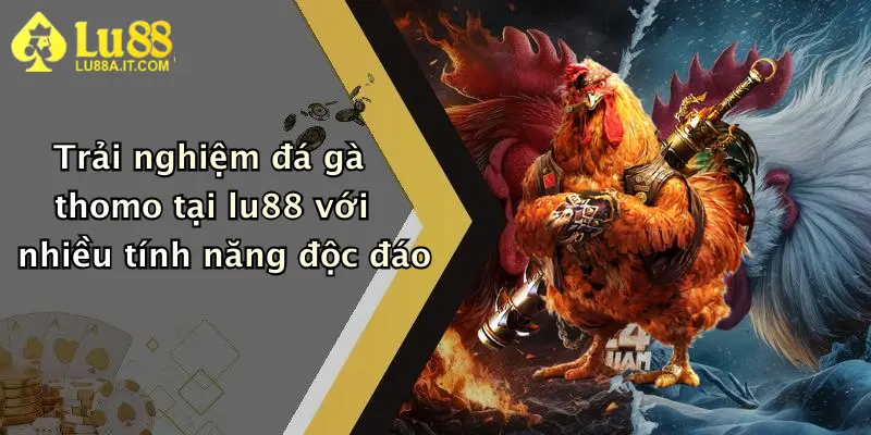 Trải nghiệm đá gà thomo tại lu88 với nhiều tính năng độc đáo